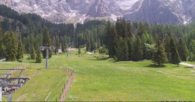 Webcam San Martino di Castrozza - Passo Rolle - Pista Col Verde