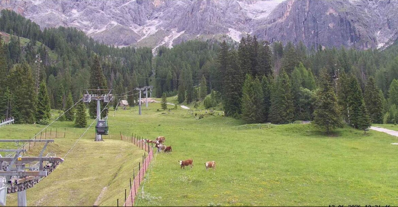 Webcam San Martino di Castrozza - Passo Rolle - Pista Col Verde