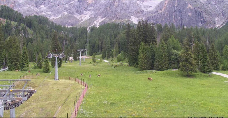 Webcam San Martino di Castrozza - Passo Rolle - Pista Col Verde