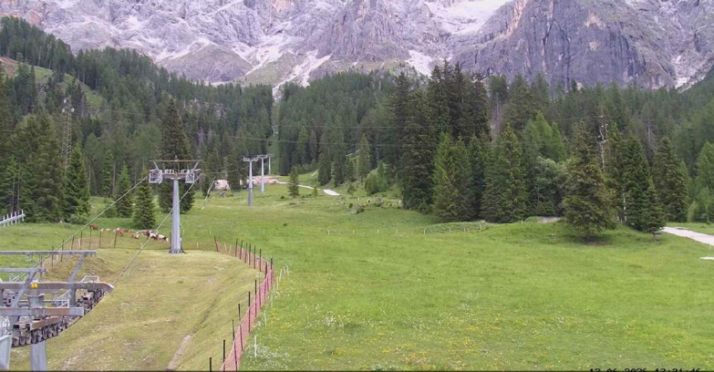 Webcam San Martino di Castrozza - Passo Rolle - Pista Col Verde