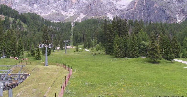 Webcam San Martino di Castrozza - Passo Rolle - Pista Col Verde