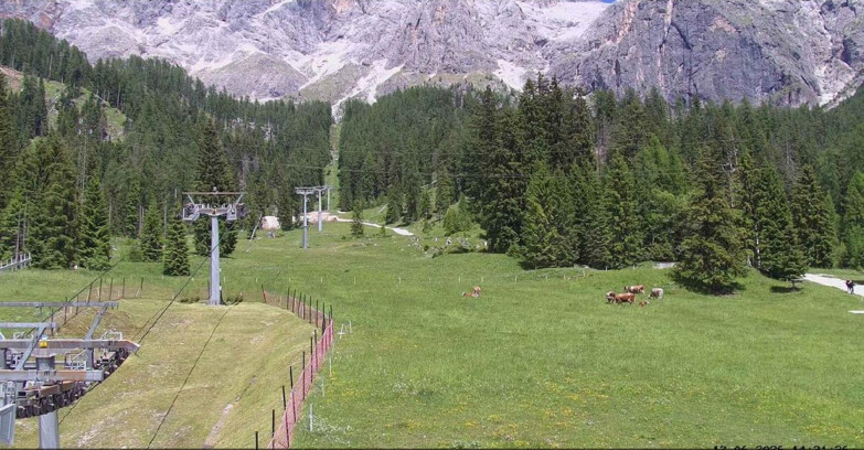 Webcam San Martino di Castrozza - Passo Rolle - Pista Col Verde