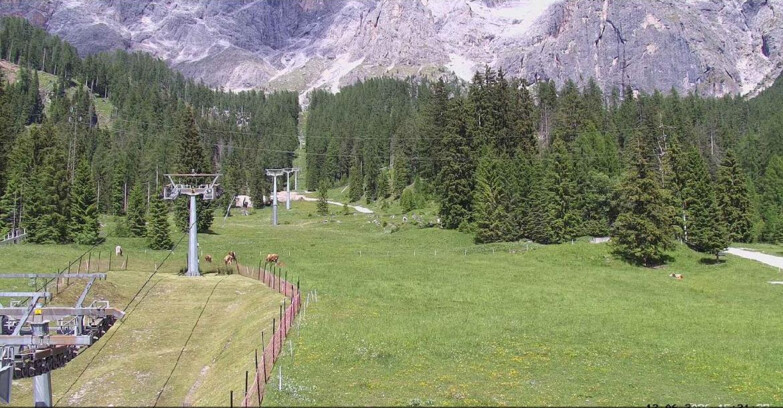 Webcam San Martino di Castrozza - Passo Rolle - Pista Col Verde