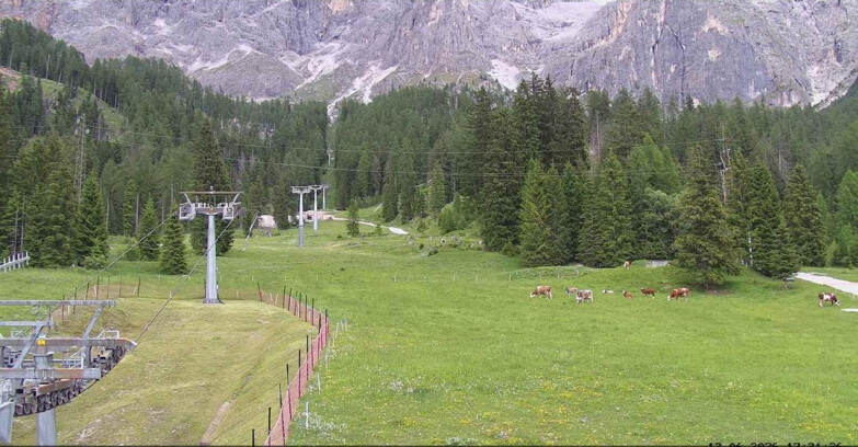Webcam San Martino di Castrozza - Passo Rolle - Pista Col Verde