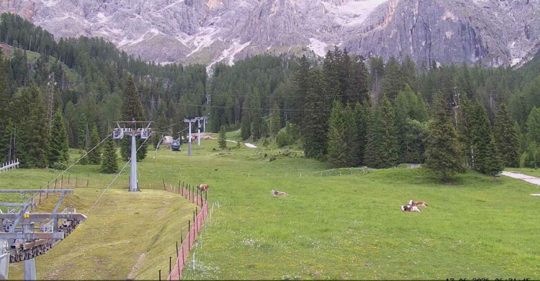 Webcam San Martino di Castrozza - Passo Rolle - Pista Col Verde