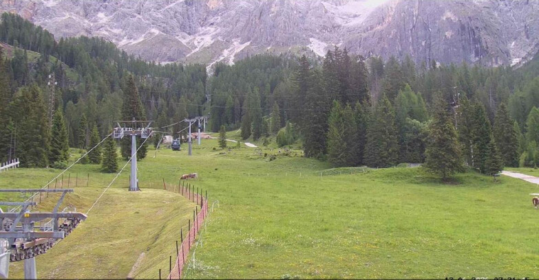 Webcam San Martino di Castrozza - Passo Rolle - Pista Col Verde