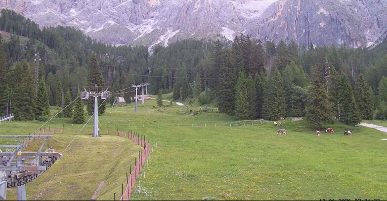 Webcam San Martino di Castrozza - Passo Rolle  - Pista Col Verde