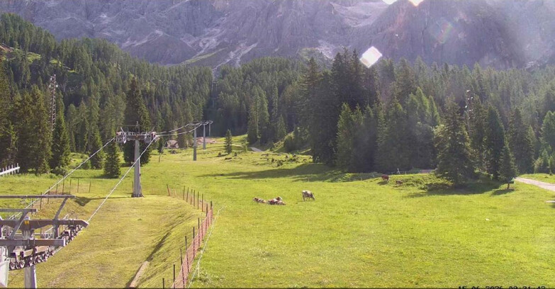 Webcam San Martino di Castrozza - Passo Rolle - Pista Col Verde