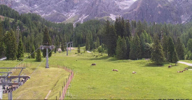 Webcam San Martino di Castrozza - Passo Rolle - Pista Col Verde