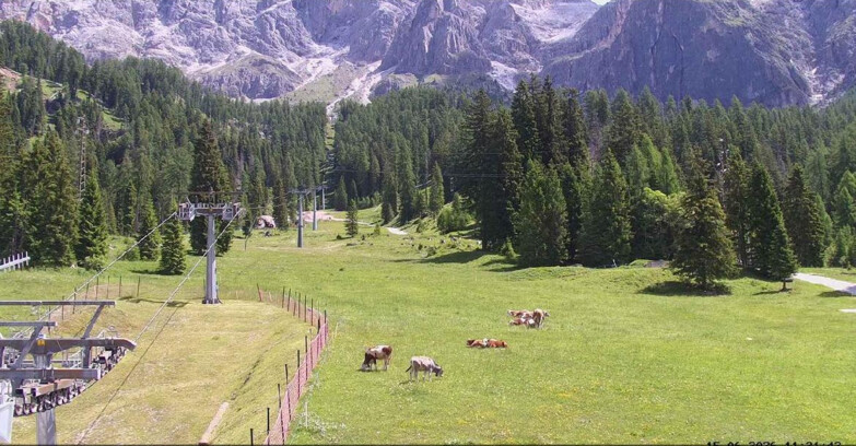 Webcam San Martino di Castrozza - Passo Rolle - Pista Col Verde