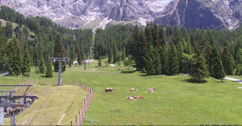 Webcam San Martino di Castrozza - Passo Rolle - Pista Col Verde