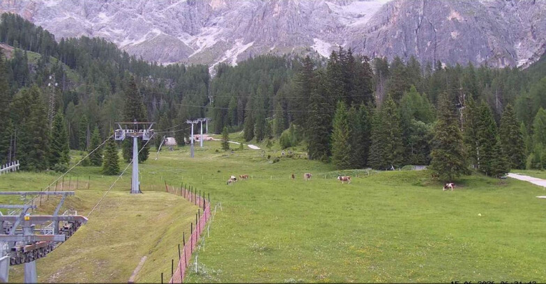 Webcam San Martino di Castrozza - Passo Rolle - Pista Col Verde