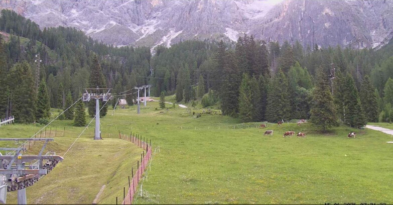 Webcam San Martino di Castrozza - Passo Rolle - Pista Col Verde