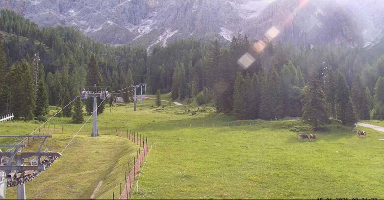 Webcam San Martino di Castrozza - Passo Rolle - Pista Col Verde