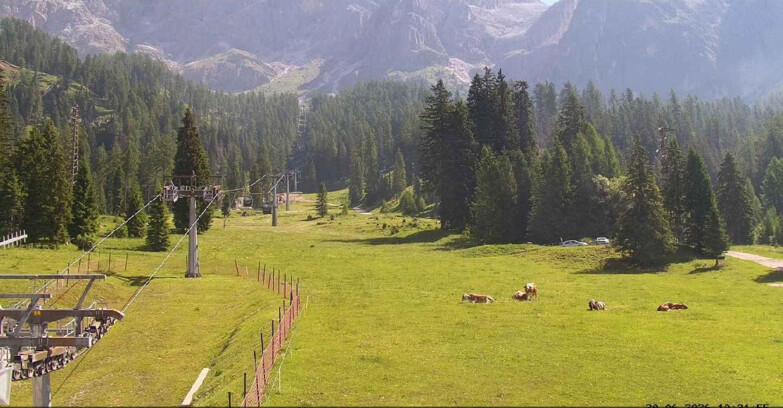 Webcam San Martino di Castrozza - Passo Rolle - Pista Col Verde