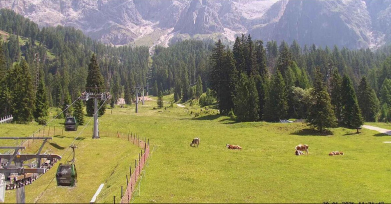 Webcam San Martino di Castrozza - Passo Rolle - Pista Col Verde