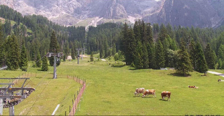 Webcam San Martino di Castrozza - Passo Rolle - Pista Col Verde
