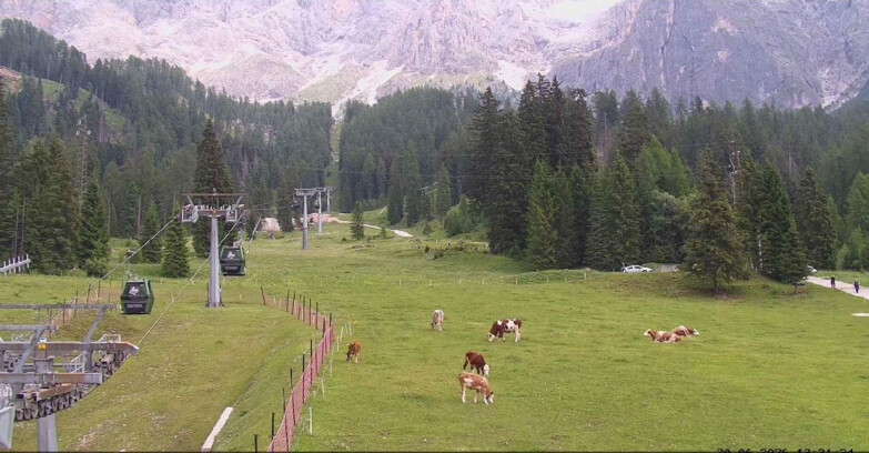 Webcam San Martino di Castrozza - Passo Rolle - Pista Col Verde