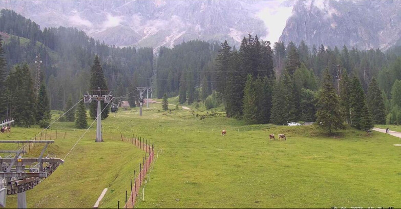 Webcam San Martino di Castrozza - Passo Rolle - Pista Col Verde