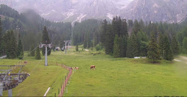 Webcam San Martino di Castrozza - Passo Rolle - Pista Col Verde