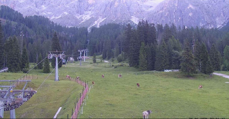 Webcam San Martino di Castrozza - Passo Rolle - Pista Col Verde