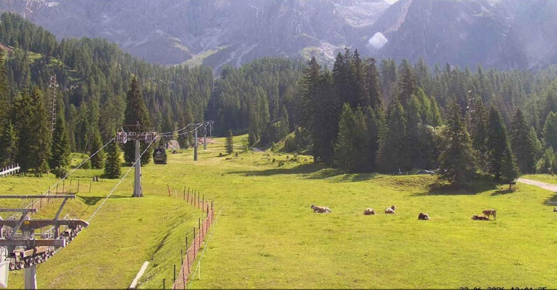 Webcam San Martino di Castrozza - Passo Rolle - Pista Col Verde