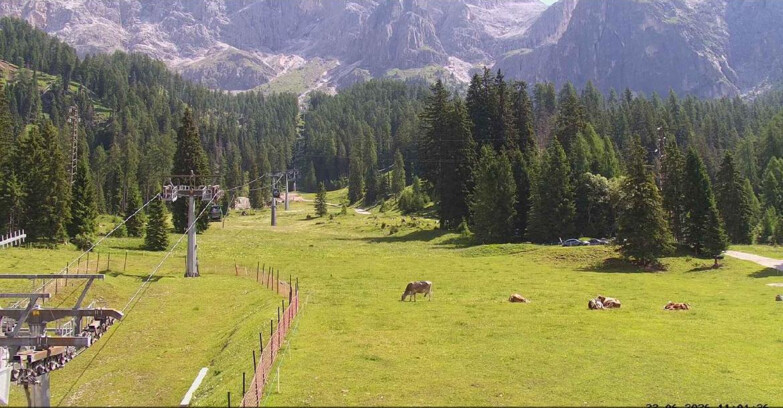 Webcam San Martino di Castrozza - Passo Rolle - Pista Col Verde