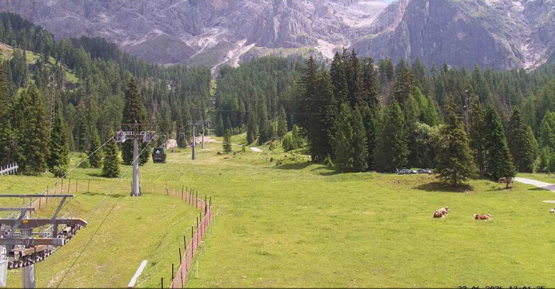Webcam San Martino di Castrozza - Passo Rolle - Pista Col Verde