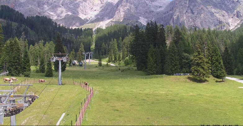 Webcam San Martino di Castrozza - Passo Rolle - Pista Col Verde