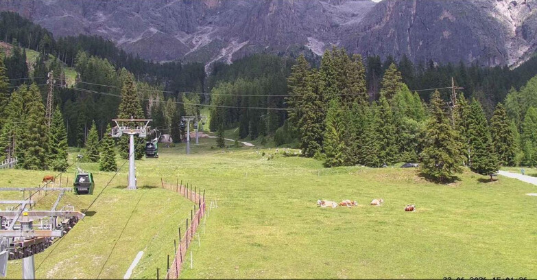 Webcam San Martino di Castrozza - Passo Rolle - Pista Col Verde