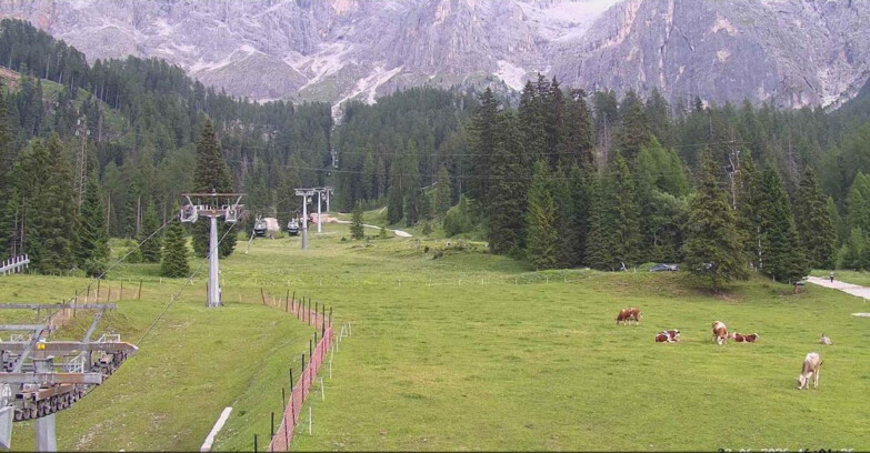 Webcam San Martino di Castrozza - Passo Rolle - Pista Col Verde