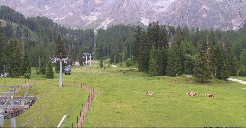 Webcam San Martino di Castrozza - Passo Rolle - Pista Col Verde