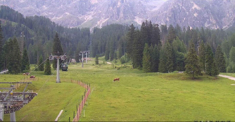 Webcam San Martino di Castrozza - Passo Rolle - Pista Col Verde