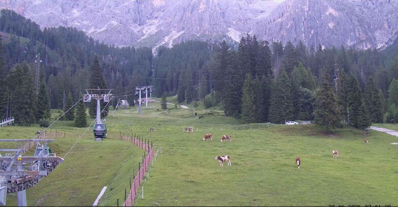 Webcam San Martino di Castrozza - Passo Rolle - Pista Col Verde