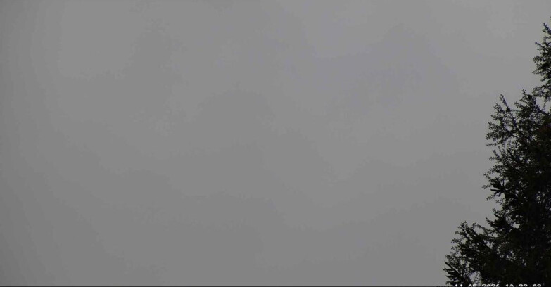 Webcam San Martino di Castrozza - Passo Rolle - Punta Ces 