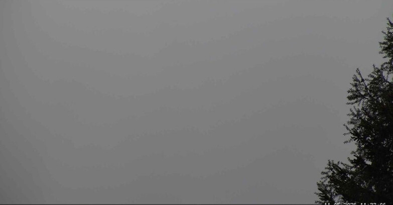 Webcam San Martino di Castrozza - Passo Rolle - Punta Ces 