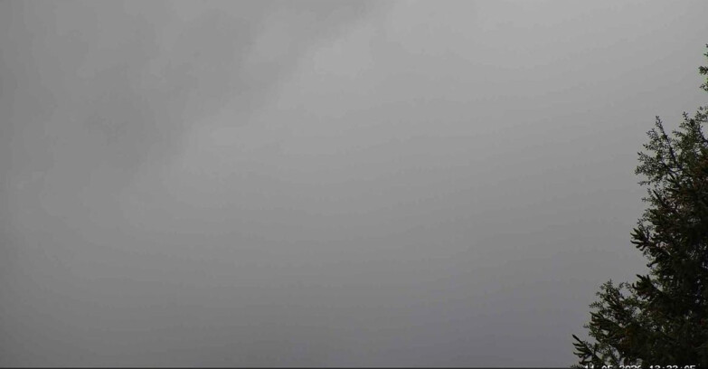 Webcam San Martino di Castrozza - Passo Rolle - Punta Ces 