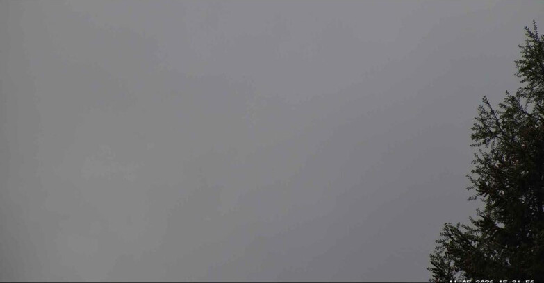 Webcam Сан-Мартино-ди-Кастроцца - Пассо-Ролле - Punta Ces 