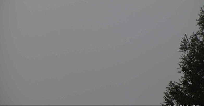 Webcam Сан-Мартино-ди-Кастроцца - Пассо-Ролле - Punta Ces 