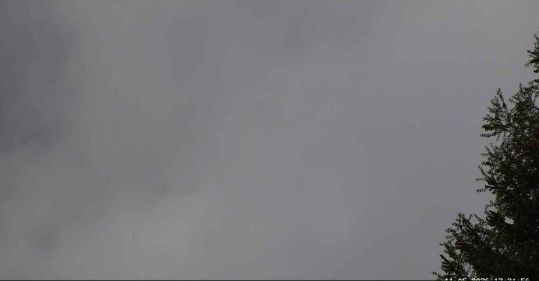 Webcam San Martino di Castrozza - Passo Rolle - Punta Ces 
