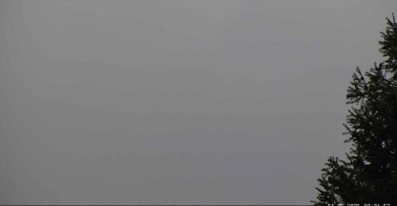 Webcam San Martino di Castrozza - Passo Rolle - Punta Ces 