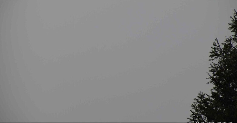 Webcam San Martino di Castrozza - Passo Rolle - Punta Ces 