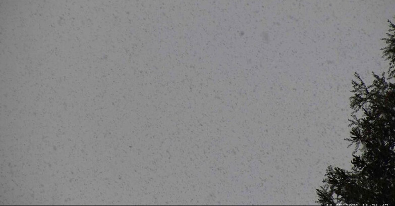 Webcam San Martino di Castrozza - Passo Rolle - Punta Ces 