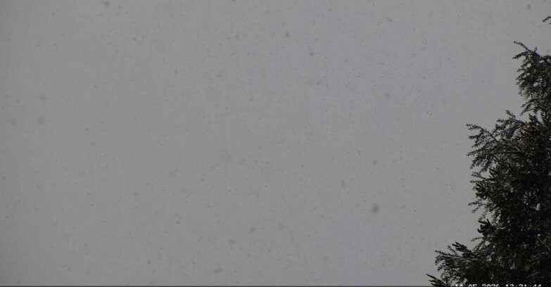 Webcam San Martino di Castrozza - Passo Rolle - Punta Ces 