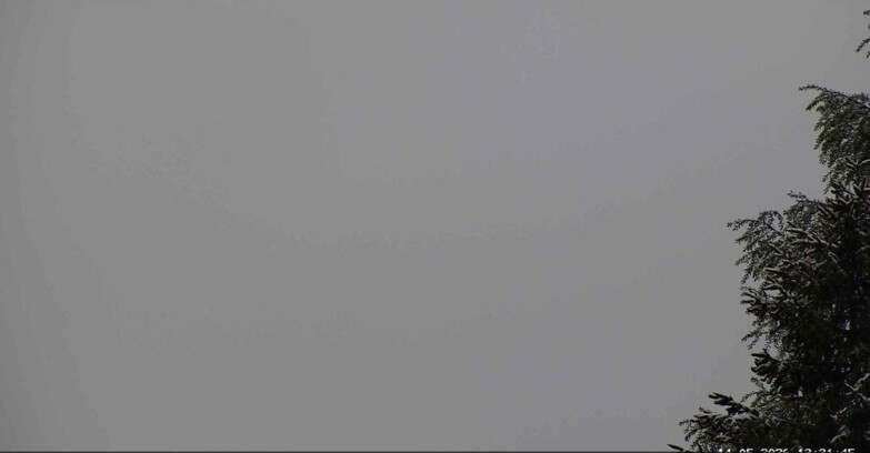 Webcam San Martino di Castrozza - Passo Rolle - Punta Ces 