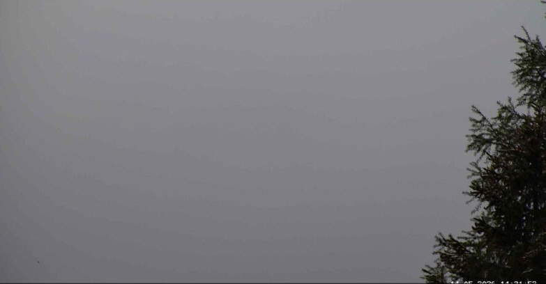 Webcam San Martino di Castrozza - Passo Rolle - Punta Ces 