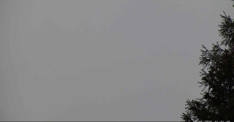 Webcam San Martino di Castrozza - Passo Rolle - Punta Ces 