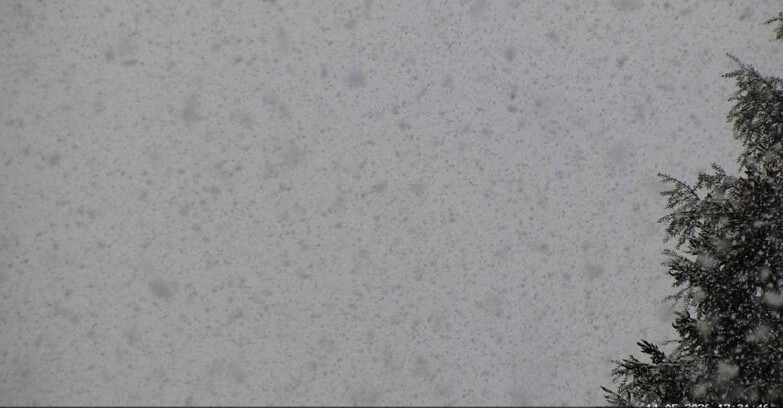 Webcam San Martino di Castrozza - Passo Rolle - Punta Ces 