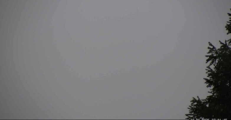 Webcam San Martino di Castrozza - Passo Rolle - Punta Ces 
