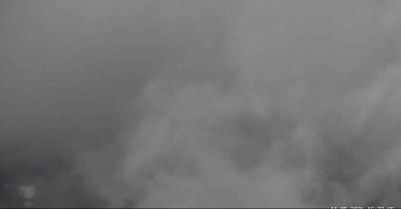 Webcam Сан-Мартино-ди-Кастроцца - Пассо-Ролле - Cima Tognola